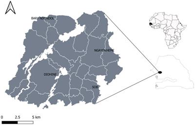 Genomic footprints of selection in early-and late-flowering pearl millet landraces